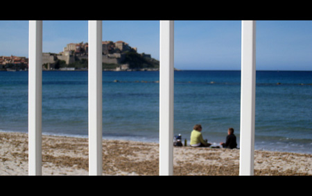 calvi