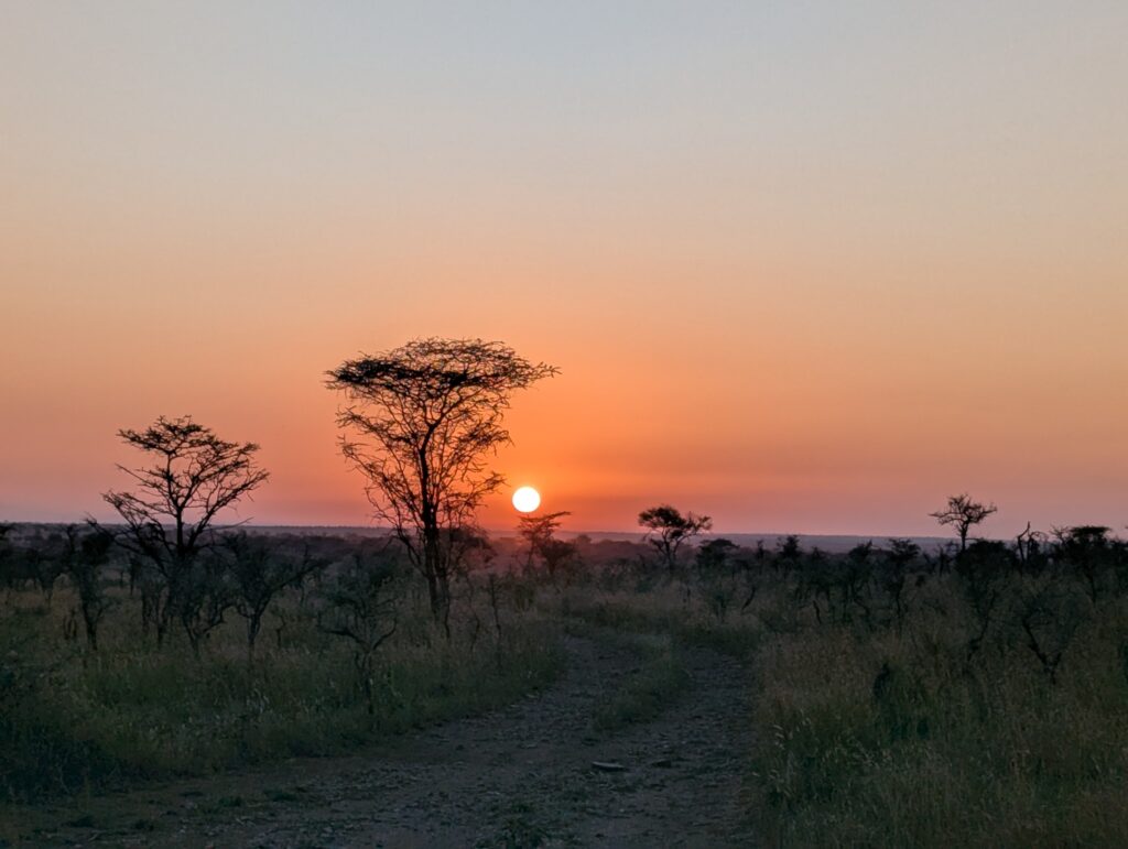 Lever de soleil sur le Serengeti, Tanzanie