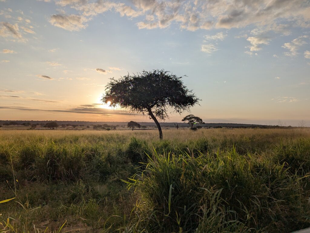 Coucher de soleil sur le Serengeti, Tanzanie