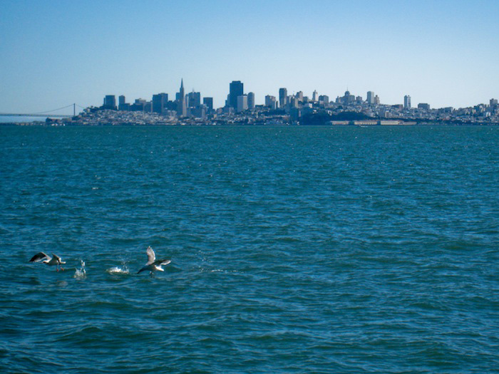 San Francisco vu depuis Sausalito
